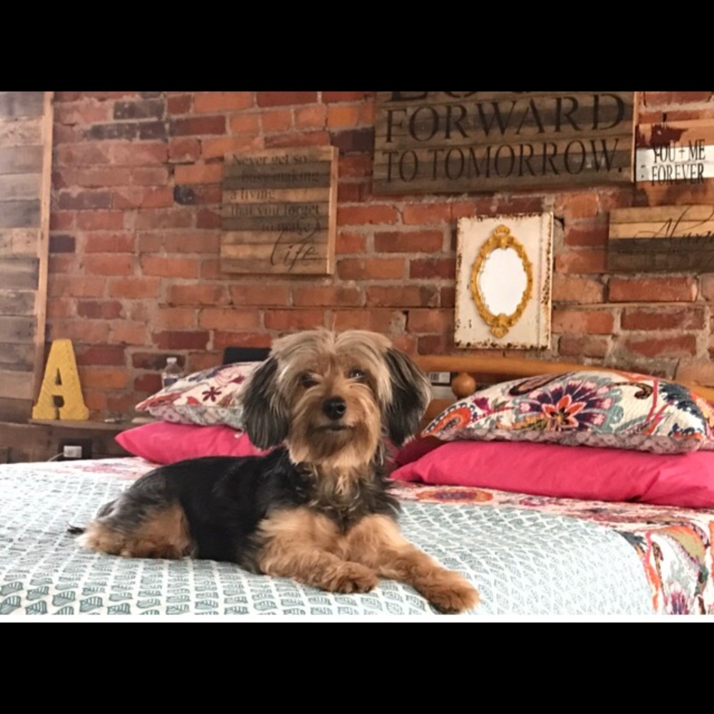 Meet your Posher, Andrea